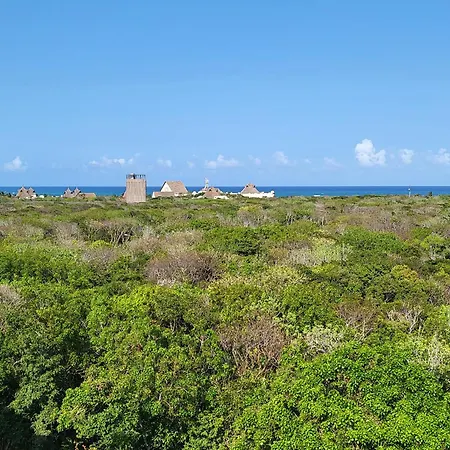 Apartment With Private Jacuzzi, Rooftop Pools & Free Beach Club Tulum Exterior photo